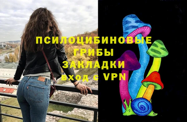 мдпв Алексин