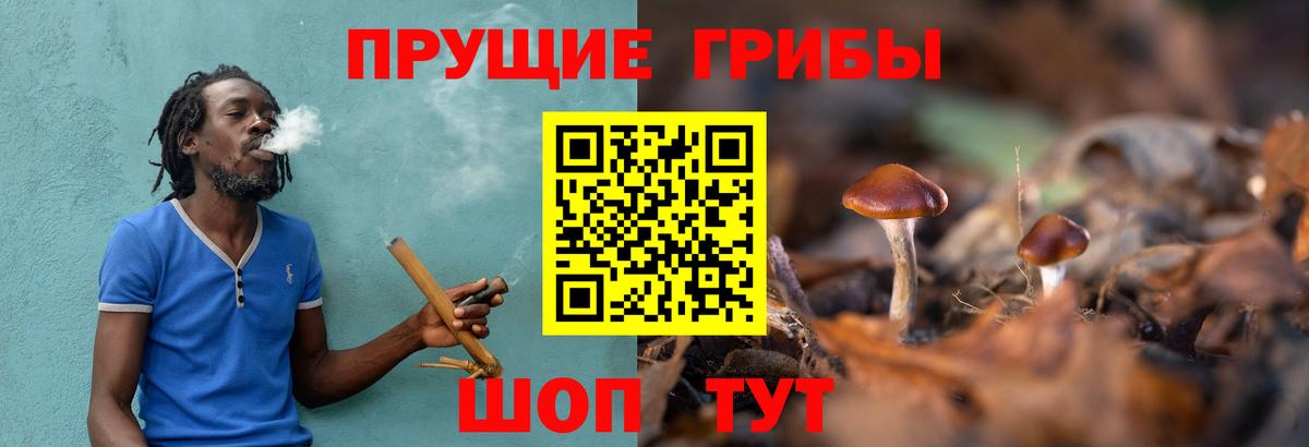 Мирный  Галлюциногенные грибы Magic Shrooms  Вход с VPN 